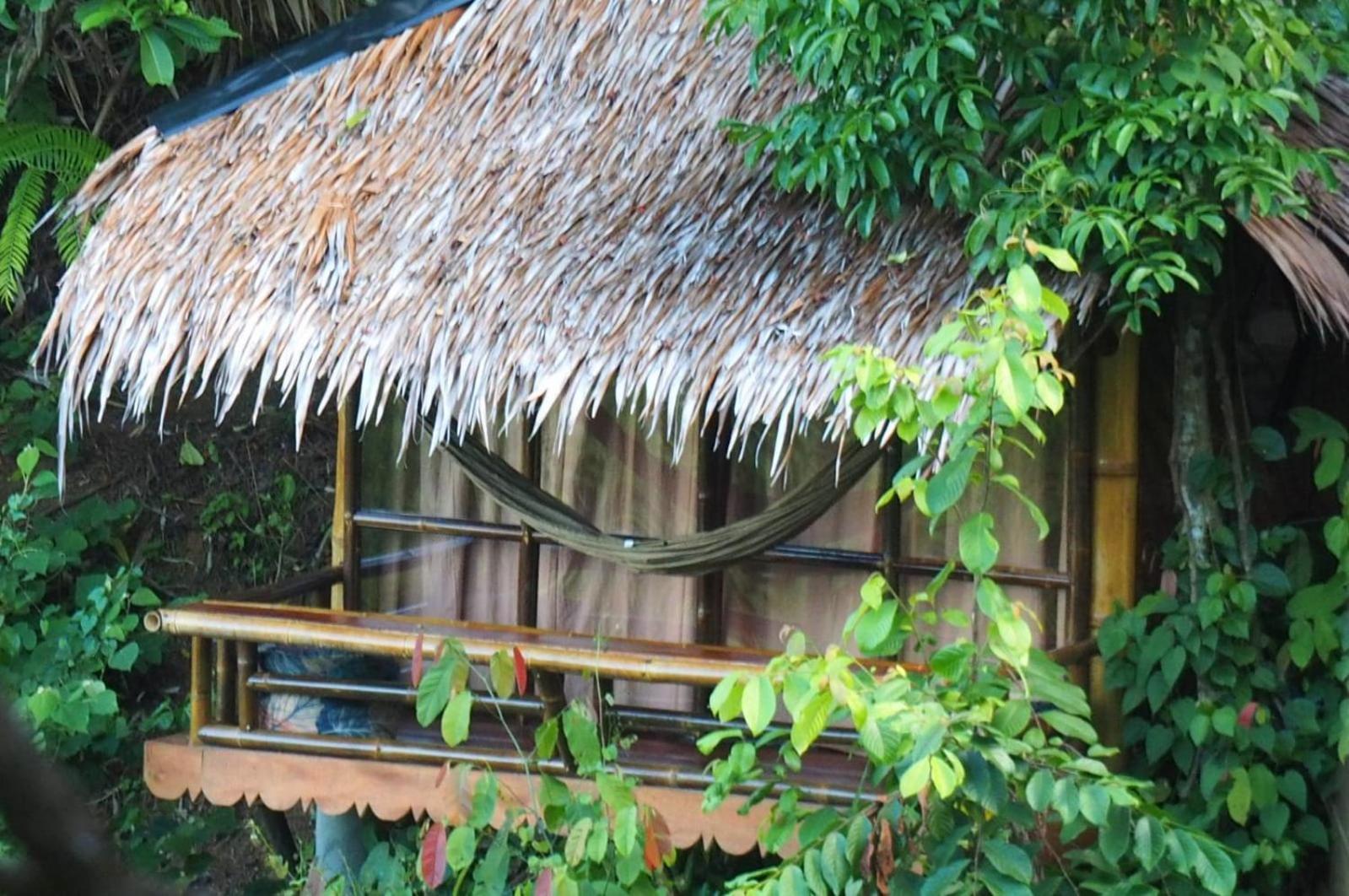 Thejungleguide - Lodges & Treks Bukit Lawang Kültér fotó
