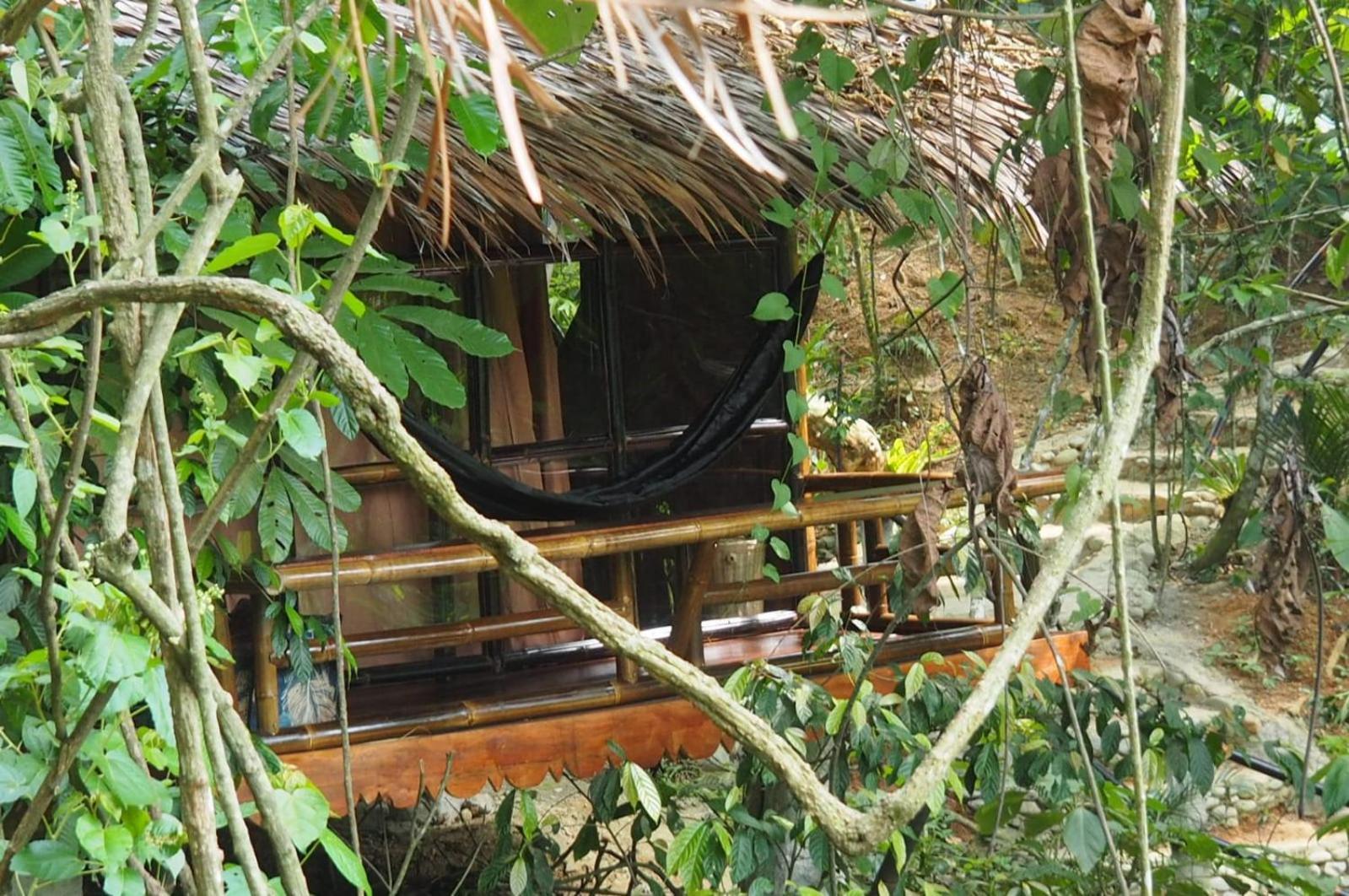 Thejungleguide - Lodges & Treks Bukit Lawang Kültér fotó