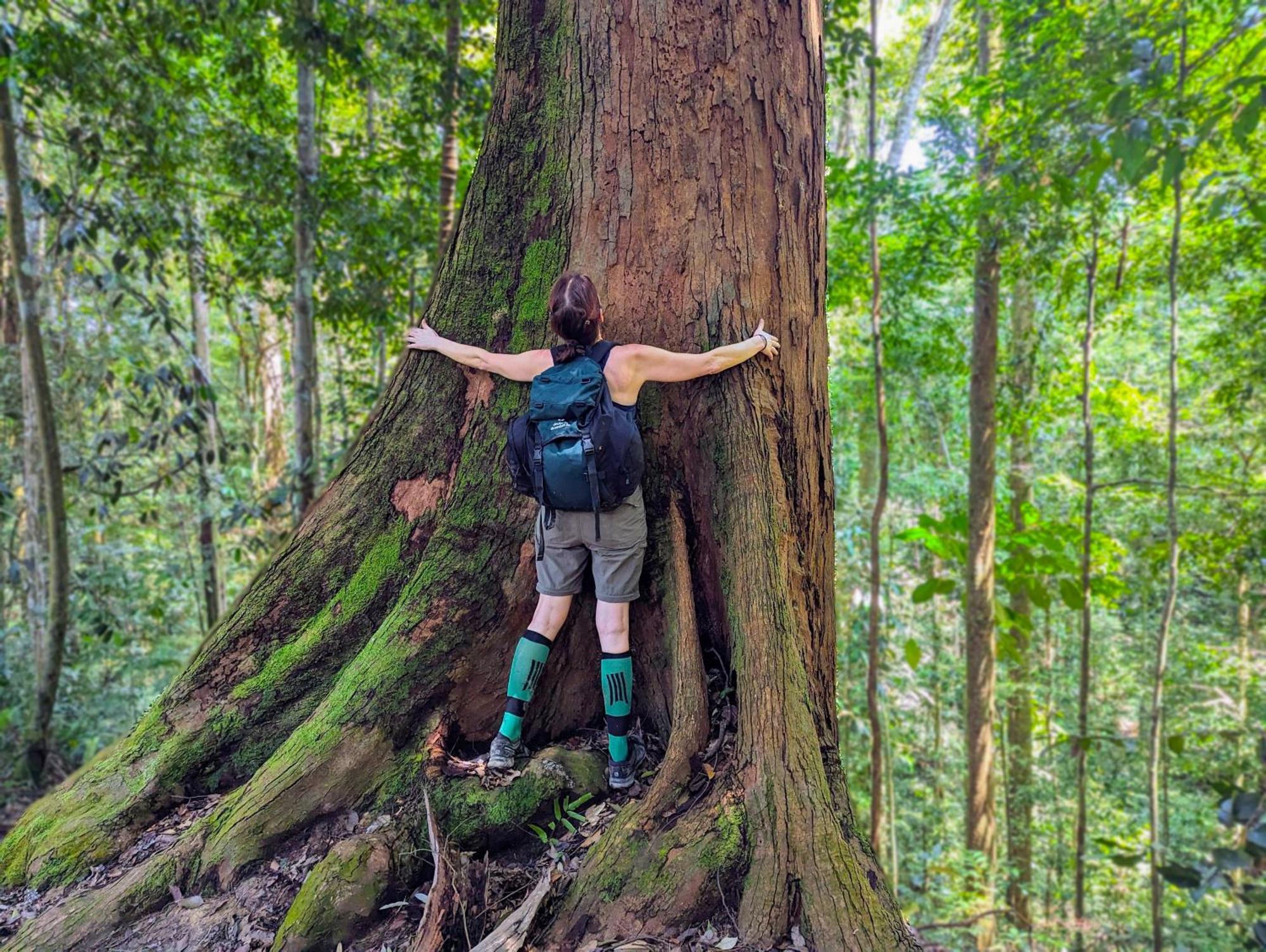Thejungleguide - Lodges & Treks Bukit Lawang Kültér fotó