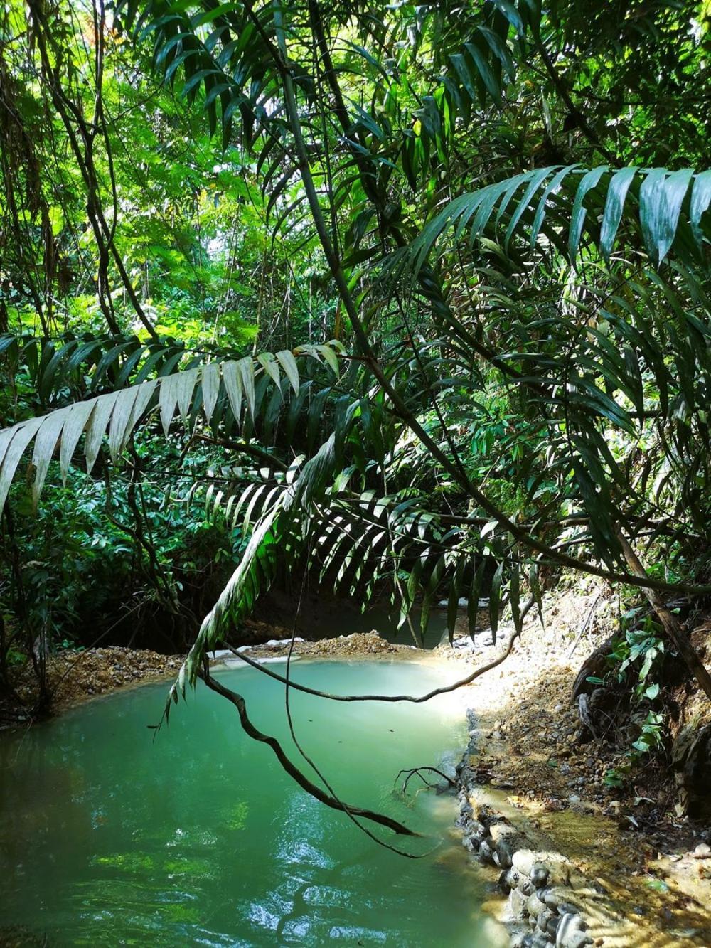 Thejungleguide - Lodges & Treks Bukit Lawang Kültér fotó