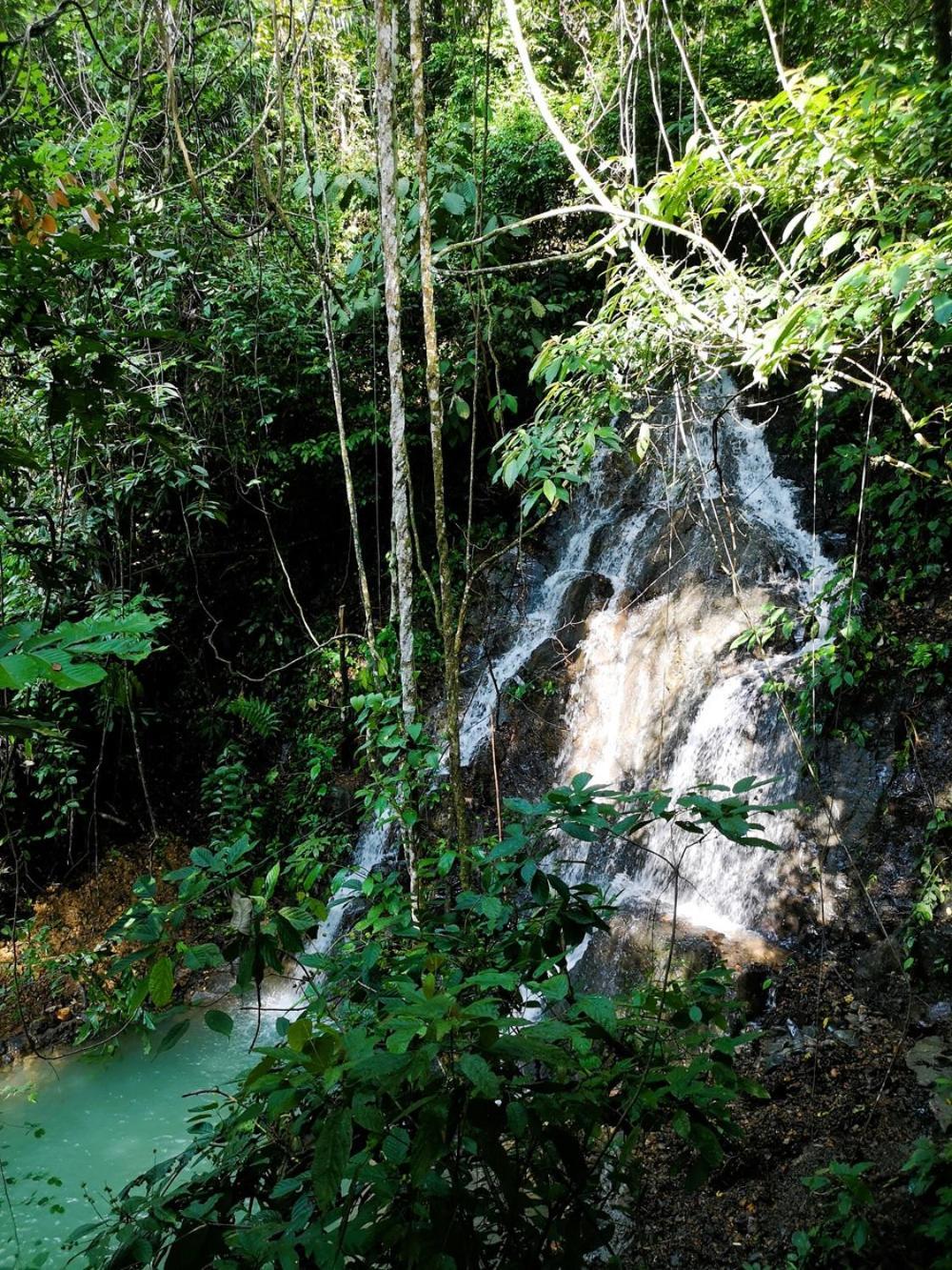 Thejungleguide - Lodges & Treks Bukit Lawang Kültér fotó